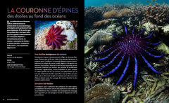 Fascinantes créatures, la vie secrète des animaux des profondeurs et des abysses