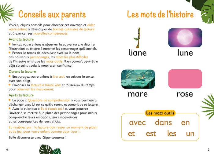 Mes premières lectures 100% syllabiques avec Gigantosaurus Niveau 1 : La Lune rose