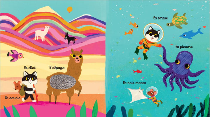 Le voyage de Petit Chat