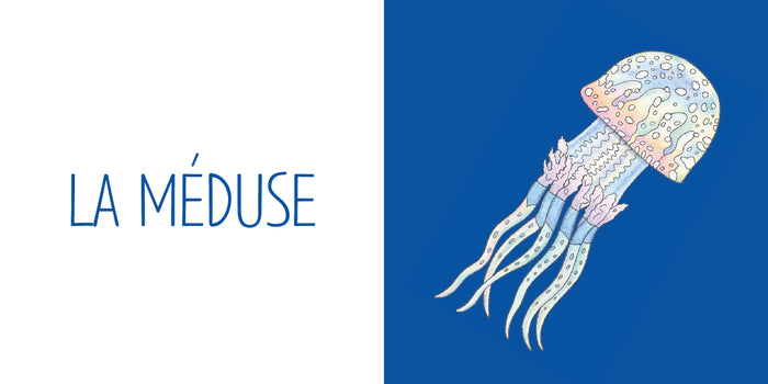 Mon premier imagier - L'océan