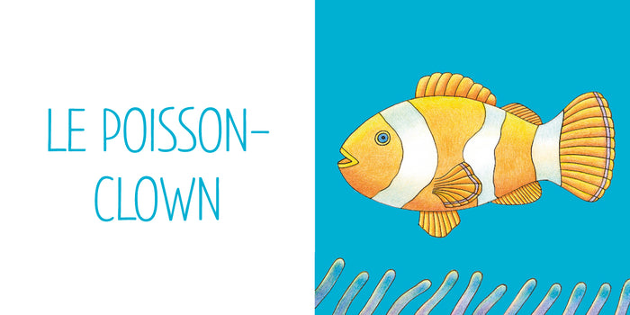 Mon premier imagier - L'océan