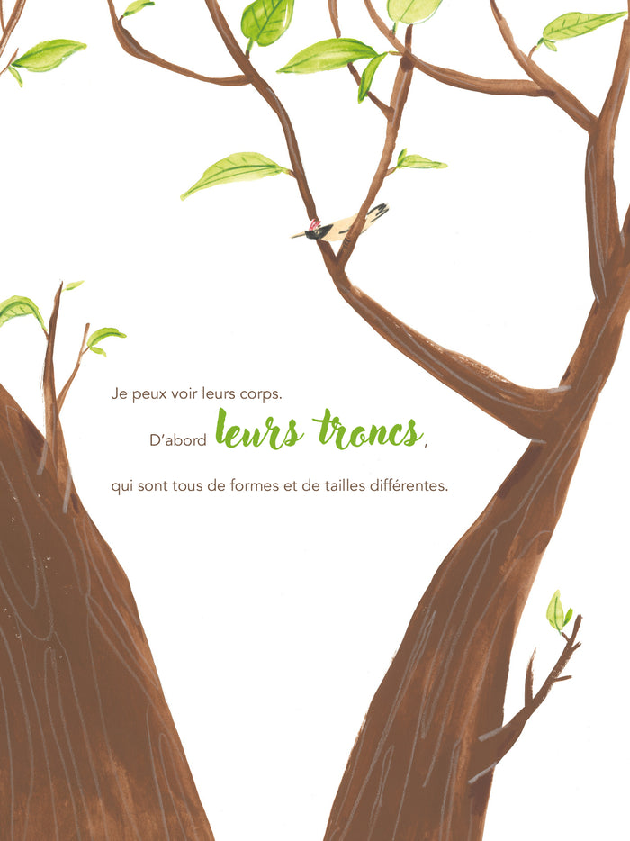 Coucou, les arbres !