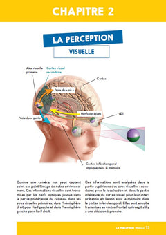 Défiez votre cerveau