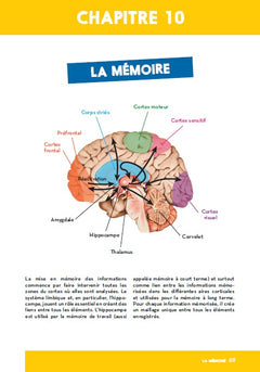 Défiez votre cerveau