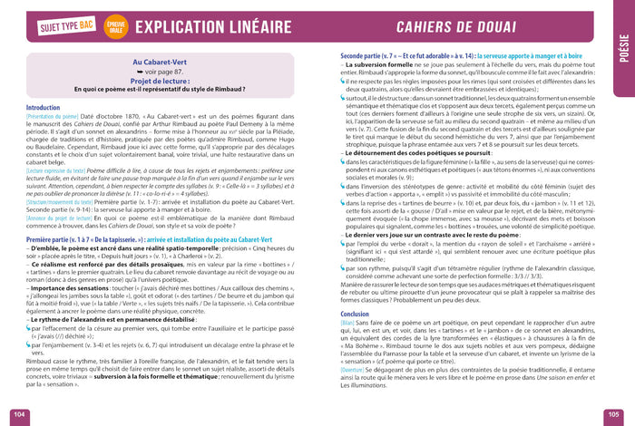 Bac 2025 - Réussir le français au Bac en cartes mentales