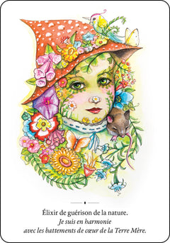 Les messagers de la nature - Cartes oracle