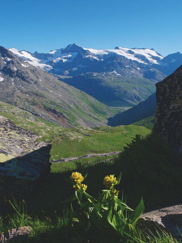 Treks dans les Parcs nationaux des Alpes