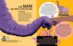 Pas croyable !