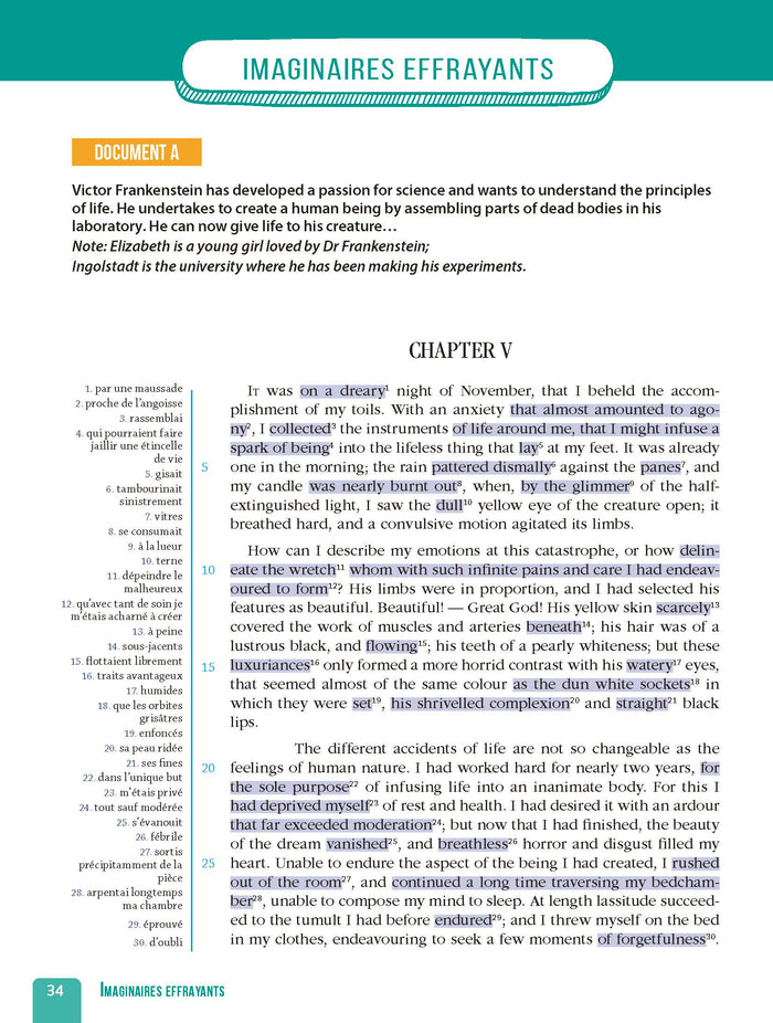Réussir l'anglais au Bac en cartes mentales