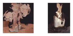 The Ashley Wood Library - Investigation 3