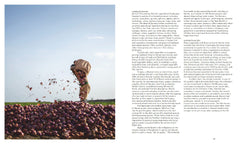 Yémen, terre de saveurs