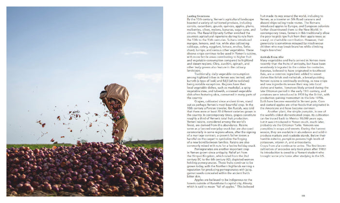 Yémen, terre de saveurs