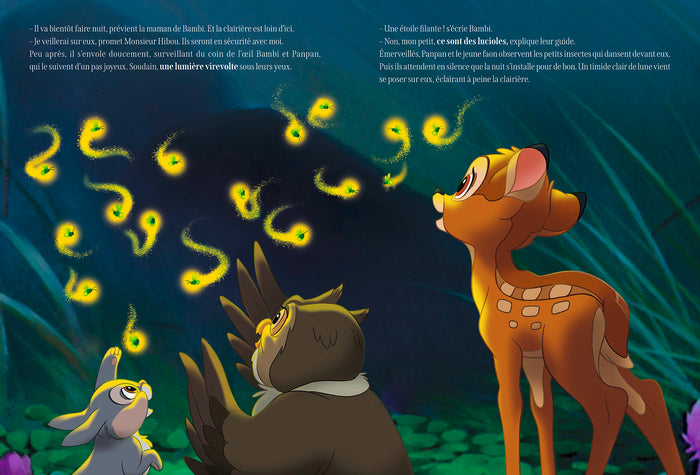 Promenons-nous dans les bois - 10 histoires en forêt