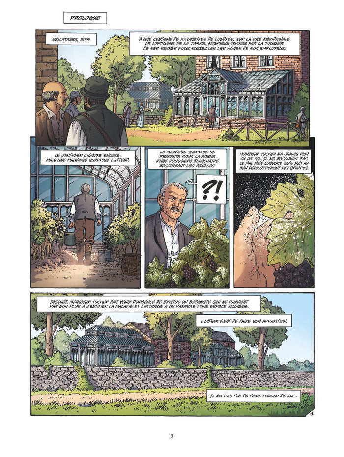 Vinifera - 1855, le classement