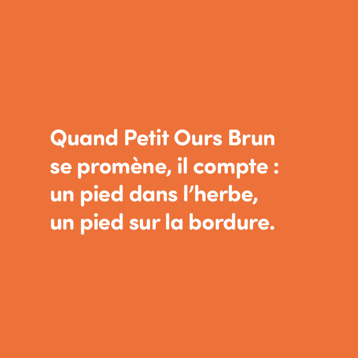 Petit ours brun aime compter