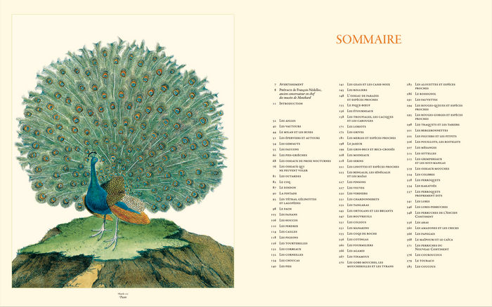 Histoire naturelle des oiseaux de Buffon et Martinet
