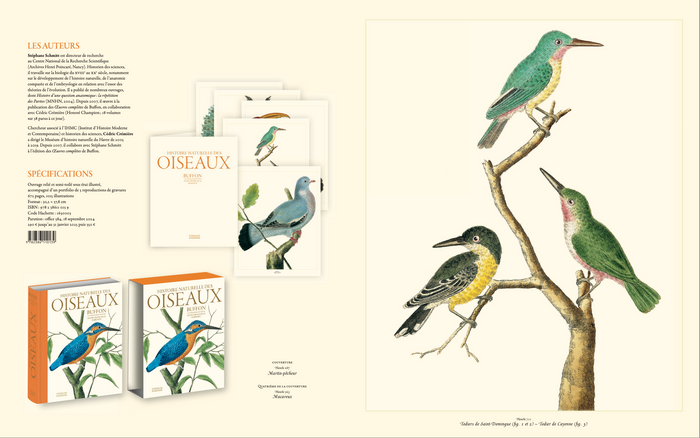 Histoire naturelle des oiseaux de Buffon et Martinet