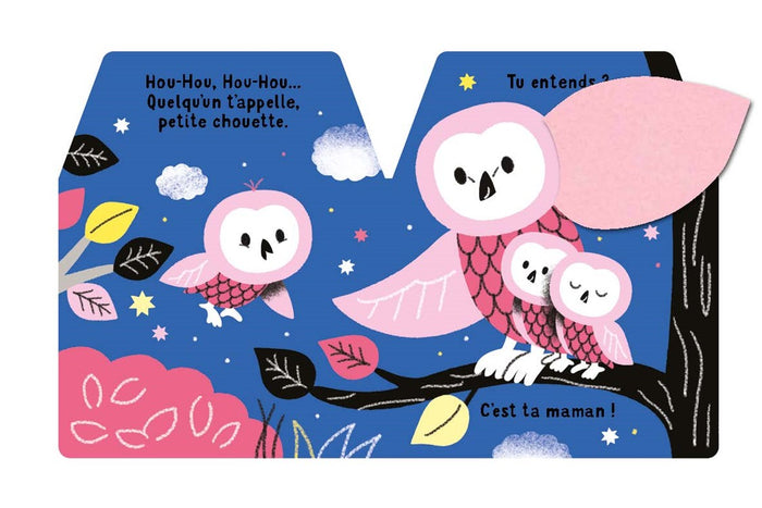 Cache-cache petite chouette