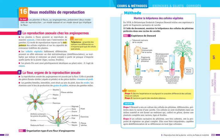 Prépabac Mes spécialités
