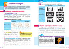 Prépabac - Enseignement scientifique Tle générale - Bac 2026