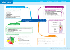 Prépabac - Enseignement scientifique Tle générale - Bac 2026