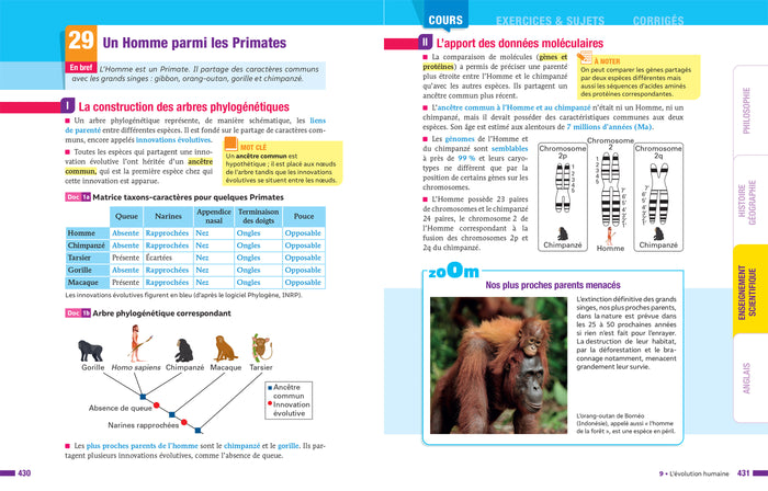 Prépabac - Toute la Tle générale (tronc commun) - Bac 2026 (toutes les matières)