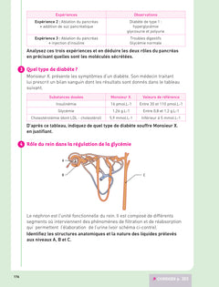 Prepabac Terminale ST2S - Mes épreuves finales - fiches et annales