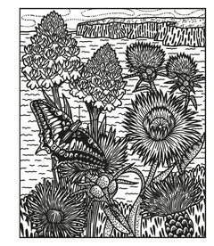 Les fleurs sauvages - La peinture magique