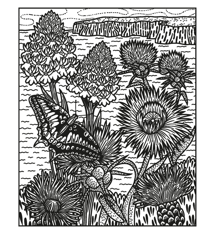 Les fleurs sauvages - La peinture magique