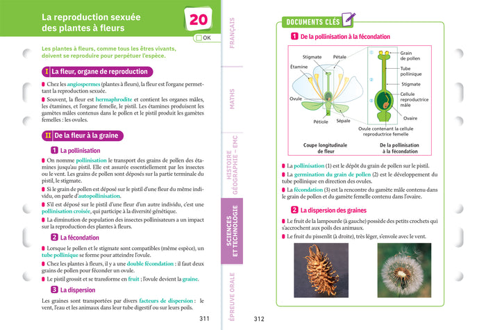 Fiches brevet - Le tout-en-un Brevet 2025 (toutes les matières)