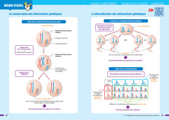 Prépabrevet - SVT 3e - Brevet 2026