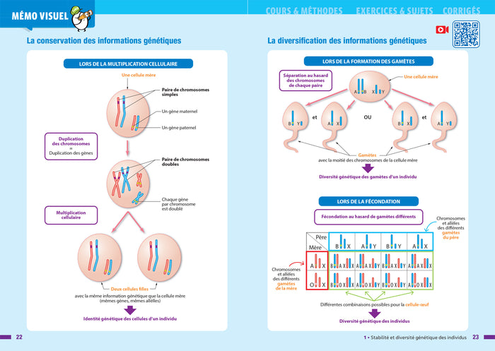 Prépabrevet - SVT 3e - Brevet 2026