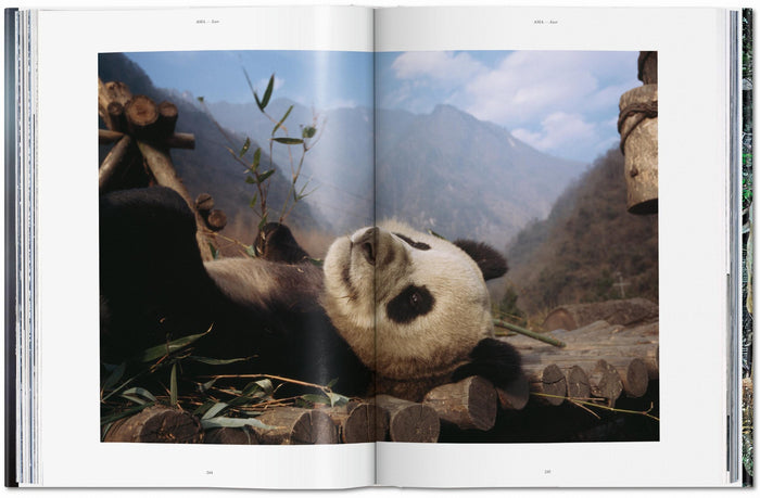 National Geographic. Le Tour du monde en 125 ans. Asie & Océanie