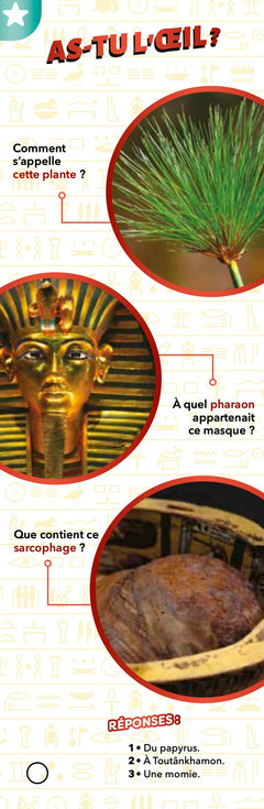 Les incollables - Éventail Passion - Égypte