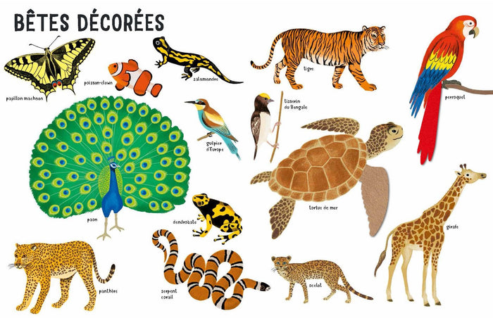 Belles bêtes