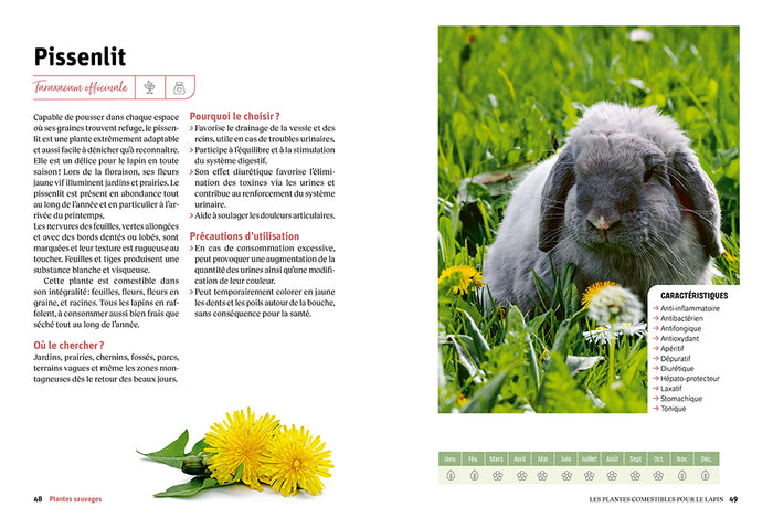 L'assiette nature du lapin heureux - Guide pour une alimentation saine et variée