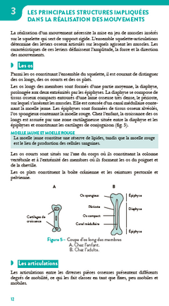 Physiologie du sport