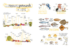 Les 4 saisons du vin