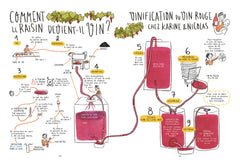 Les 4 saisons du vin