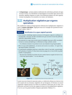 Biologie végétale