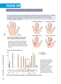 Mémo visuel de neurosciences
