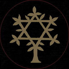 L'oracle des symboles magiques