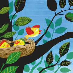 Le premier vol de Coulicou