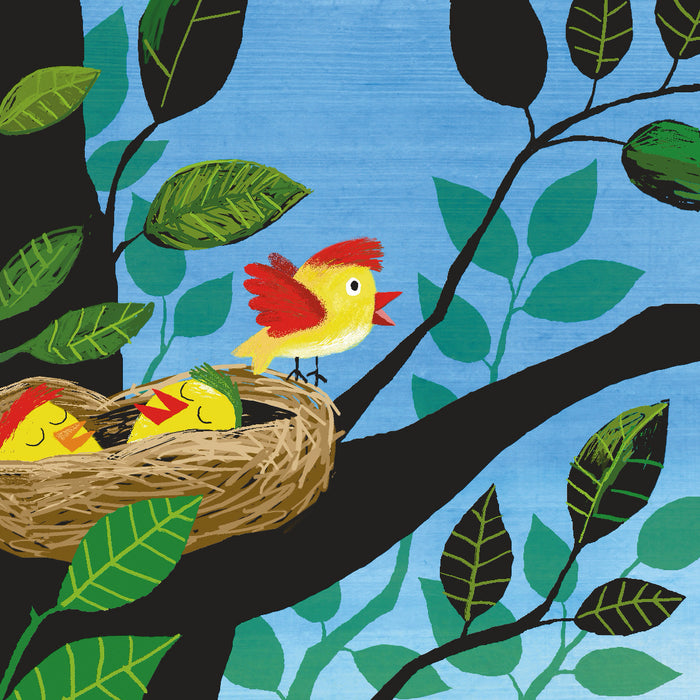 Le premier vol de Coulicou