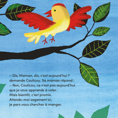 Le premier vol de Coulicou