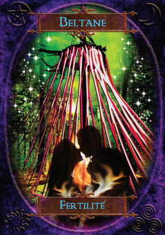 Coffret l'oracle la sagesse des sorcières