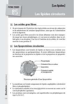 Pass & LAS Tout en fiches - Biochimie, Biologie moléculaire, Chimie générale et organique