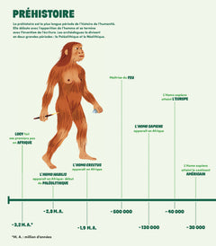 Mes cartes mentales pour découvrir l'Histoire du monde en un coup d'oeil