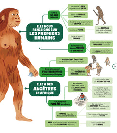 Mes cartes mentales pour découvrir l'Histoire du monde en un coup d'oeil