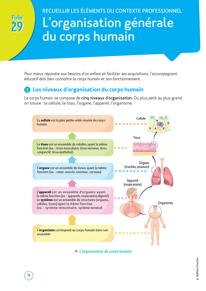 Prépa'CAP Accompagnant éducatif Petite Enfance